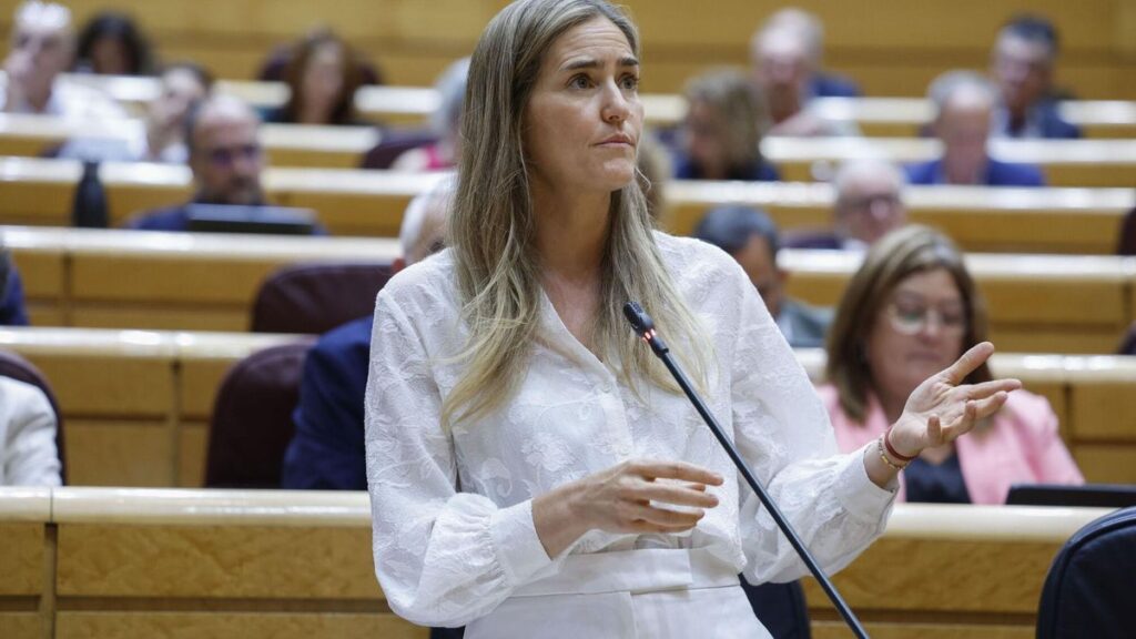 La ministra de Transición Ecológica, Sara Aagesen, interviene en el primer pleno ordinario en el Senado del segundo período de sesiones de 2025.