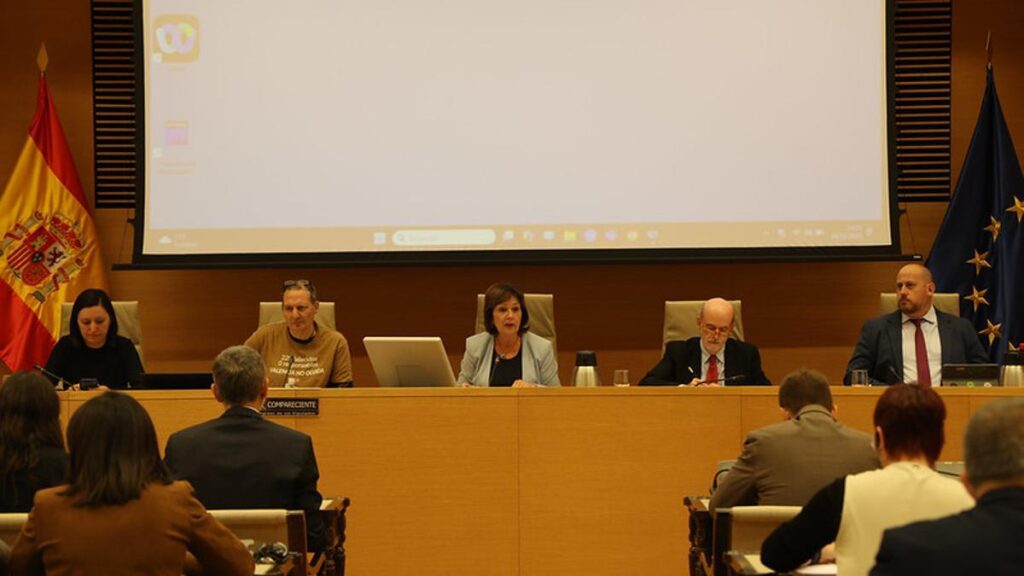 Christian Lesaec en la comisión de la dana en el Congreso