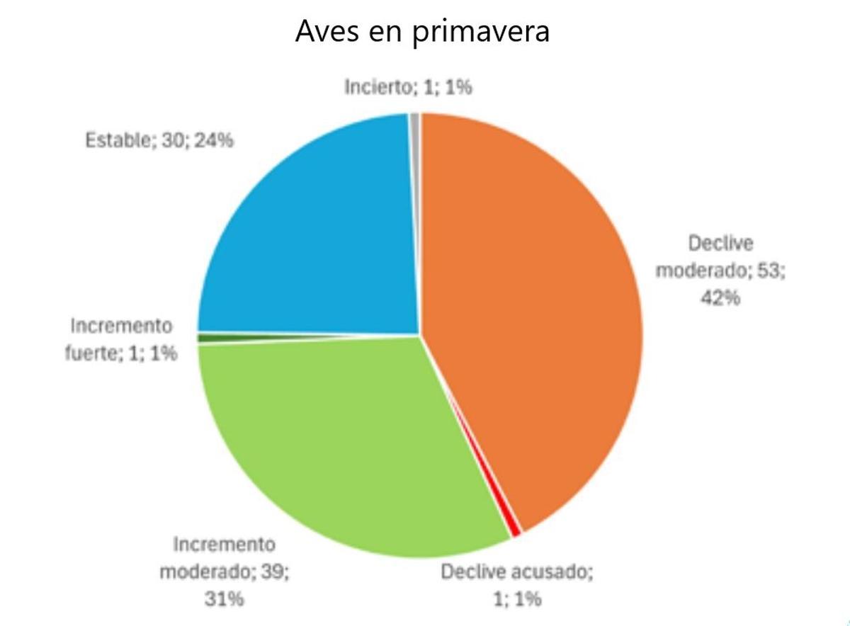 Situation des oiseaux au printemps