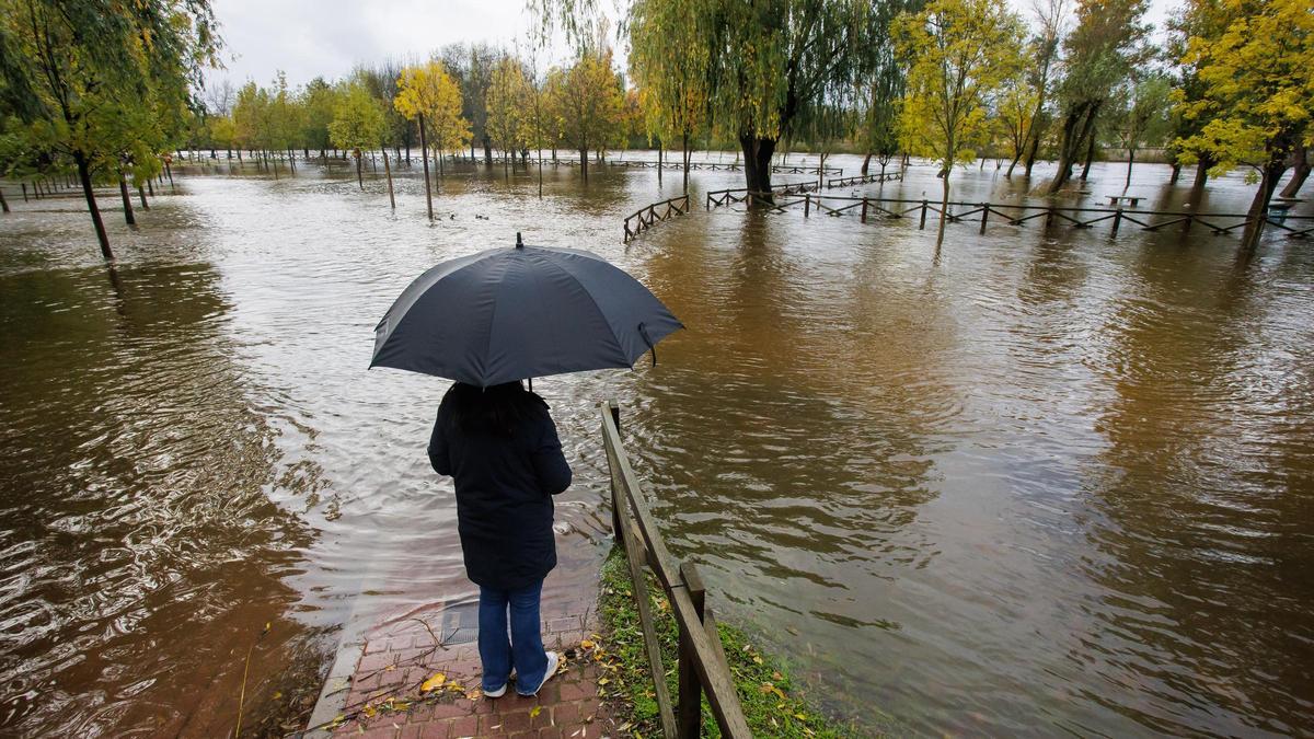 Crecida del río Águeda a su paso por Ciudad Rodrigo (Salamanca).