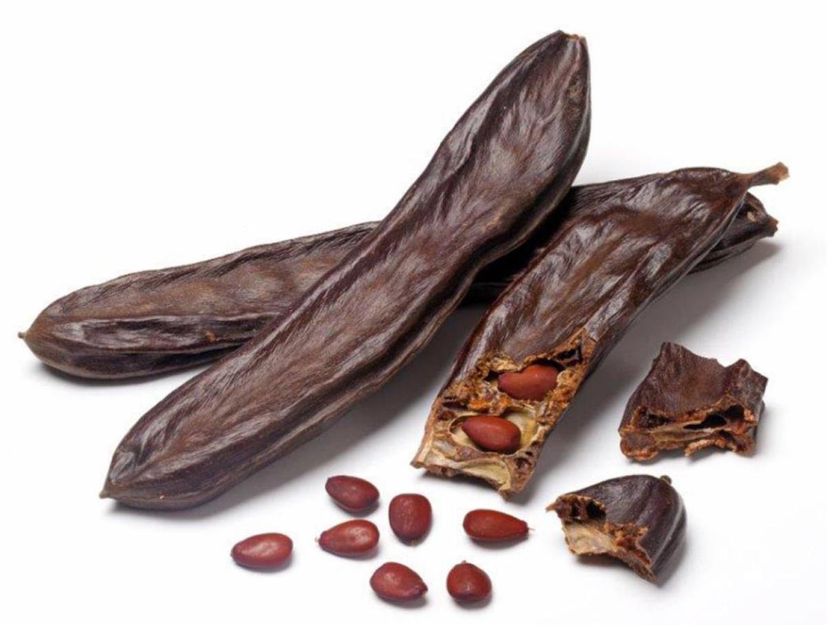 La caroube est déjà utilisée dans de nombreux endroits pour fabriquer du chocolat.