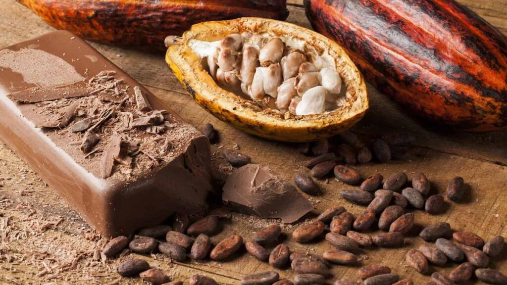 El cacao, principal ingrediente del chocolate, está en declive
