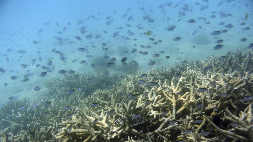 ESPÈCES EN DANGER D'EXTINCTION